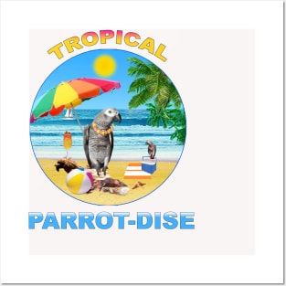 African Grey Congo parrot tropical Posters and Art